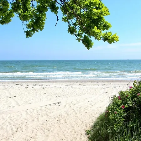 Apartmán Strandnahe Mit Terrasse, Gratis Nutzung Vom Ahoi Erlebnisbad Und Sauna In Sellin - Rex Rugia 14-3 Lobbe